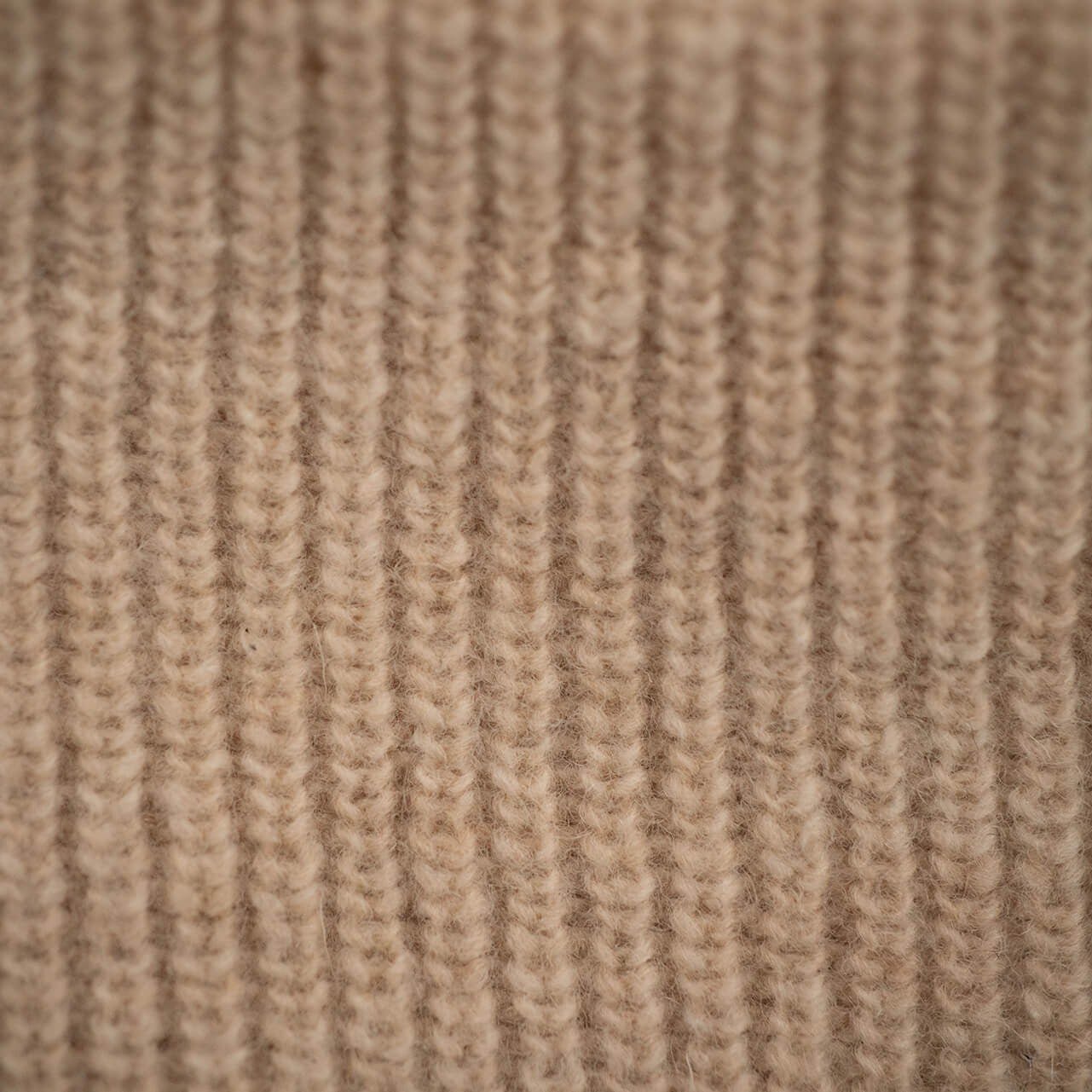 ALTIDUDE-Hermit-Beige-BACKYARD
