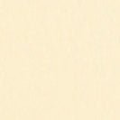 ARMEDANGELS - Kanitaa - Early Yellow - BACKYARD