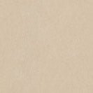 CARHARTT WIP - Blevin Liner - Fleur De Sel - BACKYARD