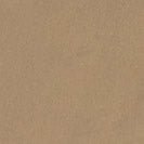 CARHARTT WIP - Master Pant - Leather Rinsed - BACKYARD