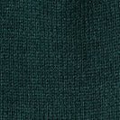 CARHARTT WIP - Short Watch Hat - Dark Fir - BACKYARD