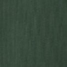 CARHARTT WIP - Women W' Casey Sweatshirt - Sycamore Tree Silver - BACKYARD