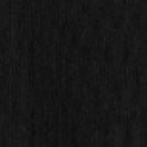 CARHARTT WIP - Women W' Hooded Casey Jacket - Black Silver - BACKYARD