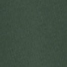 CARHARTT WIP - Women W' Hooded Casey Sweatshirt - Sycamore Tree Silver - BACKYARD