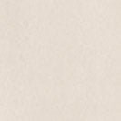 CARHARTT WIP - Women W' Hooded Nelson Jacket - Fleur De Sel Garment Dyed - BACKYARD