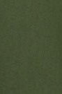 CARHARTT WIP - Women W' Pierce Pant - Tarragon Rinsed - BACKYARD