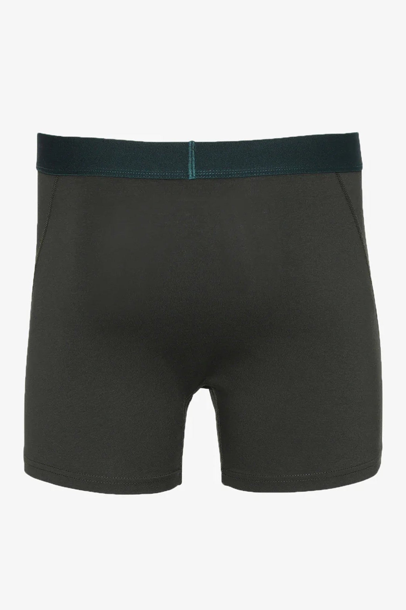 COLORFUL STANDARD - Classic Organic Boxer Briefs - Hunter Green - BACKYARD