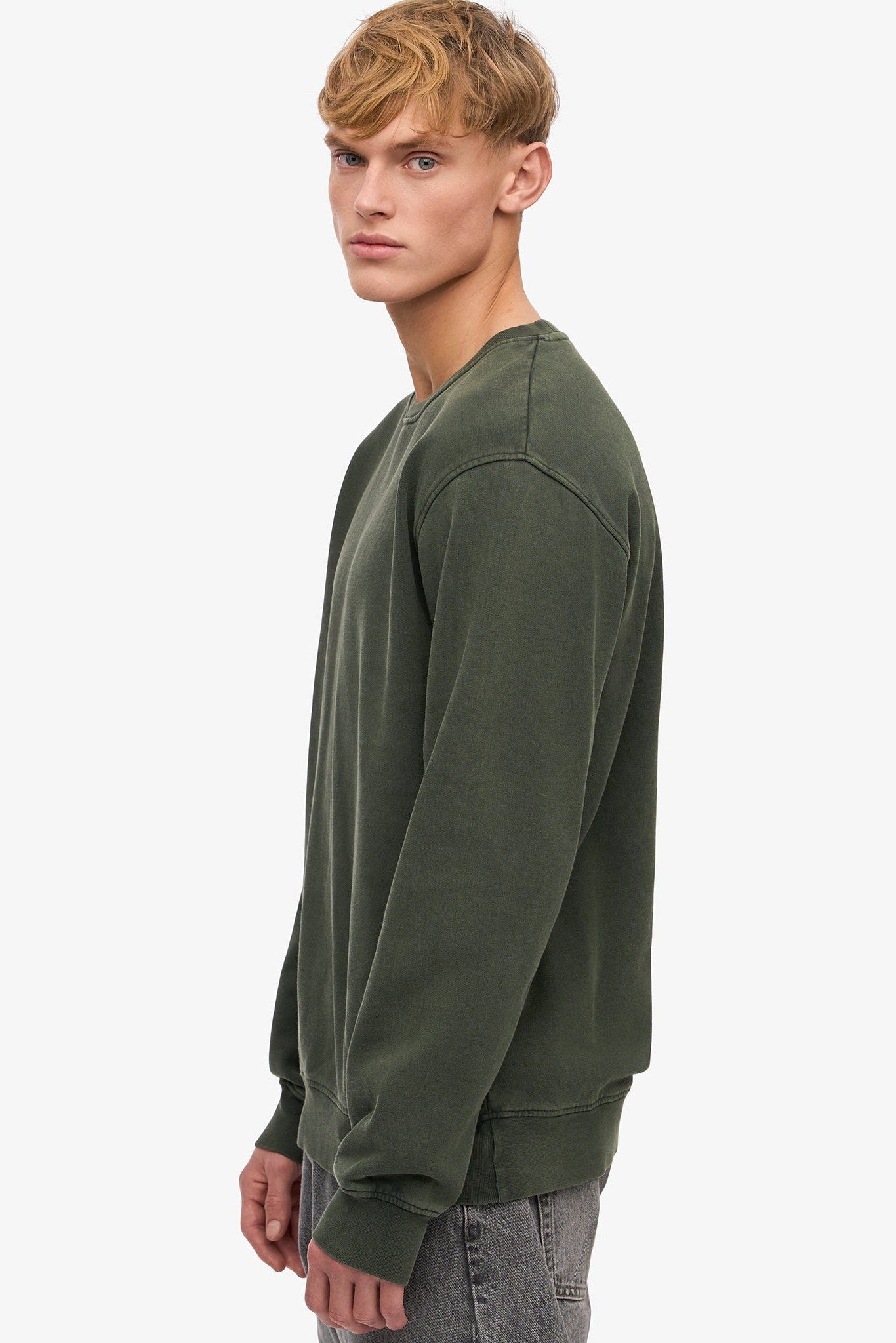 COLORFUL STANDARD - Classic Organic Crew - Midnight Forest - BACKYARD