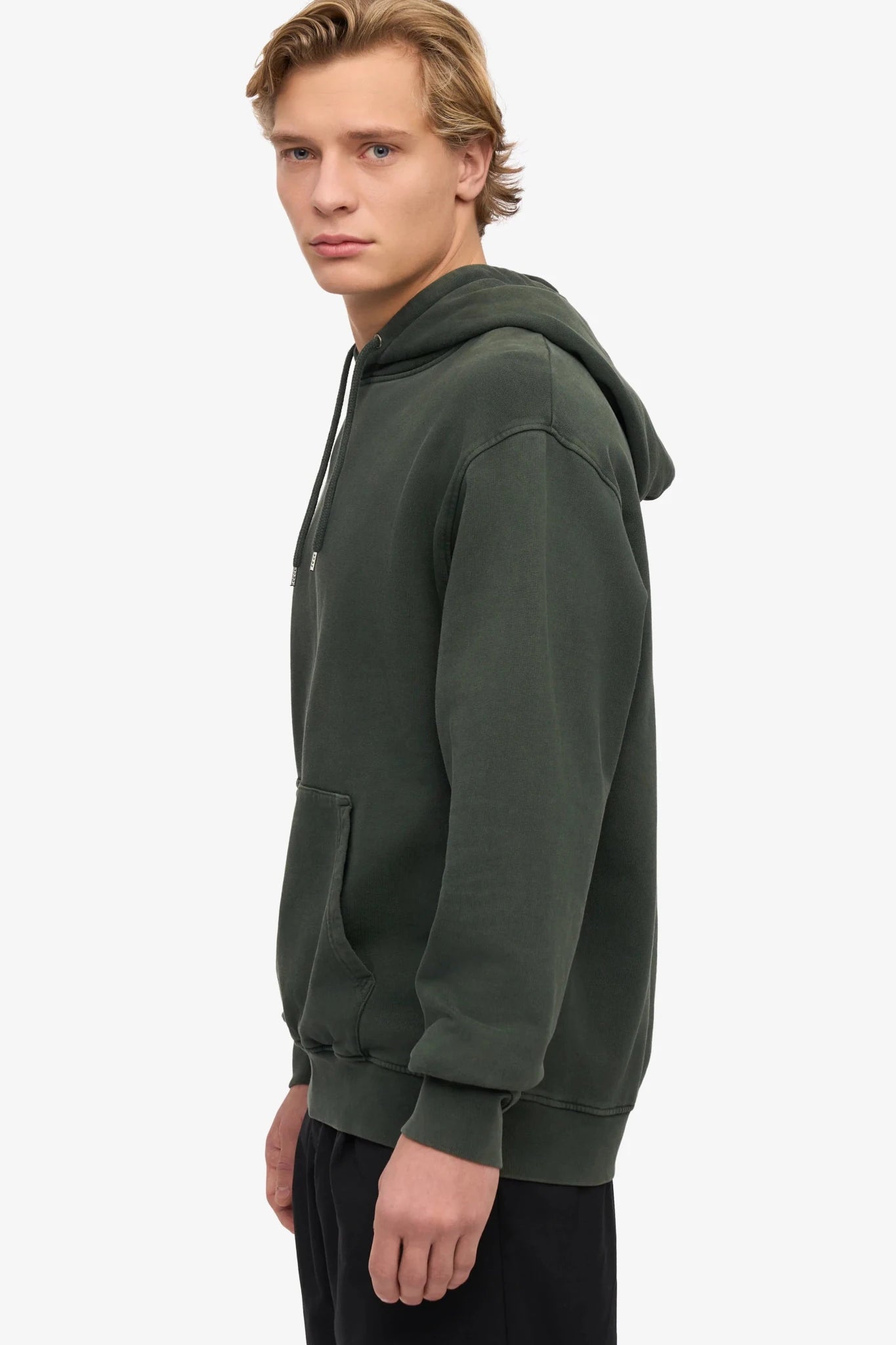 COLORFUL STANDARD - Classic Organic Hood - Midnight Forest - BACKYARD