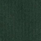 COLORFUL STANDARD - Classic Organic Sock - Emerald Green - BACKYARD