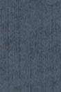 COLORFUL STANDARD - Organic Active Sock - Petrol Blue - BACKYARD