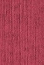 COLORFUL STANDARD - Organic Active Sock - Raspberry Pink - BACKYARD