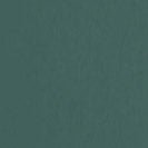 COLORFUL STANDARD - Organic Button Down Shirt - Emerald Green - BACKYARD