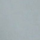 COLORFUL STANDARD - Organic Button Down Shirt - Steel Blue - BACKYARD