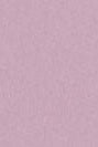 COLORFUL STANDARD - Organic Oversized Crew - Pearly Purple - BACKYARD