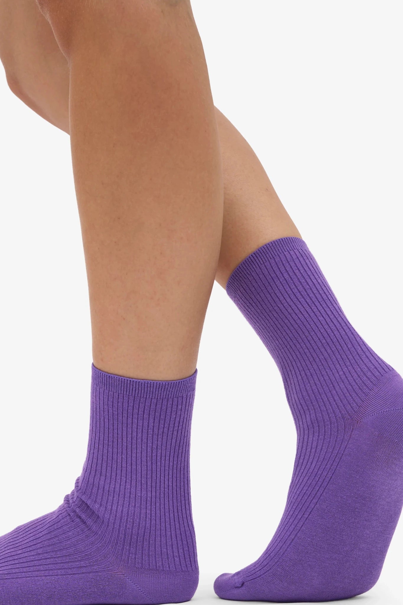 COLORFUL STANDARD-Women Classic Organic Sock-Ultra Violet-BACKYARD
