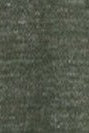 IRIEDAILY - Chamisso Tee - Forest Melange - BACKYARD