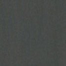 IRIEDAILY - Peaceride Emb Tee - Dark Jungle - BACKYARD