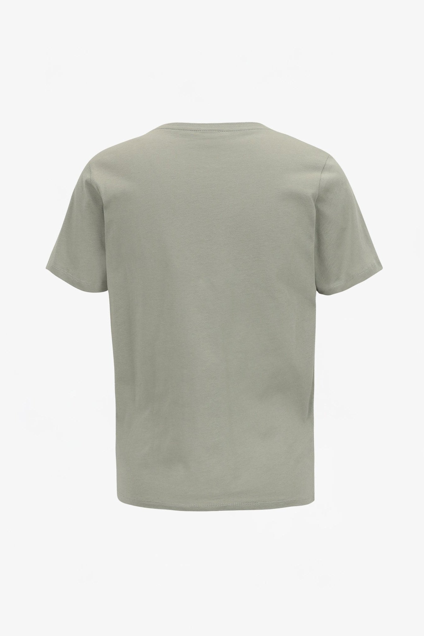 IRIEDAILY - Peacy Ride Tee - Lint - BACKYARD