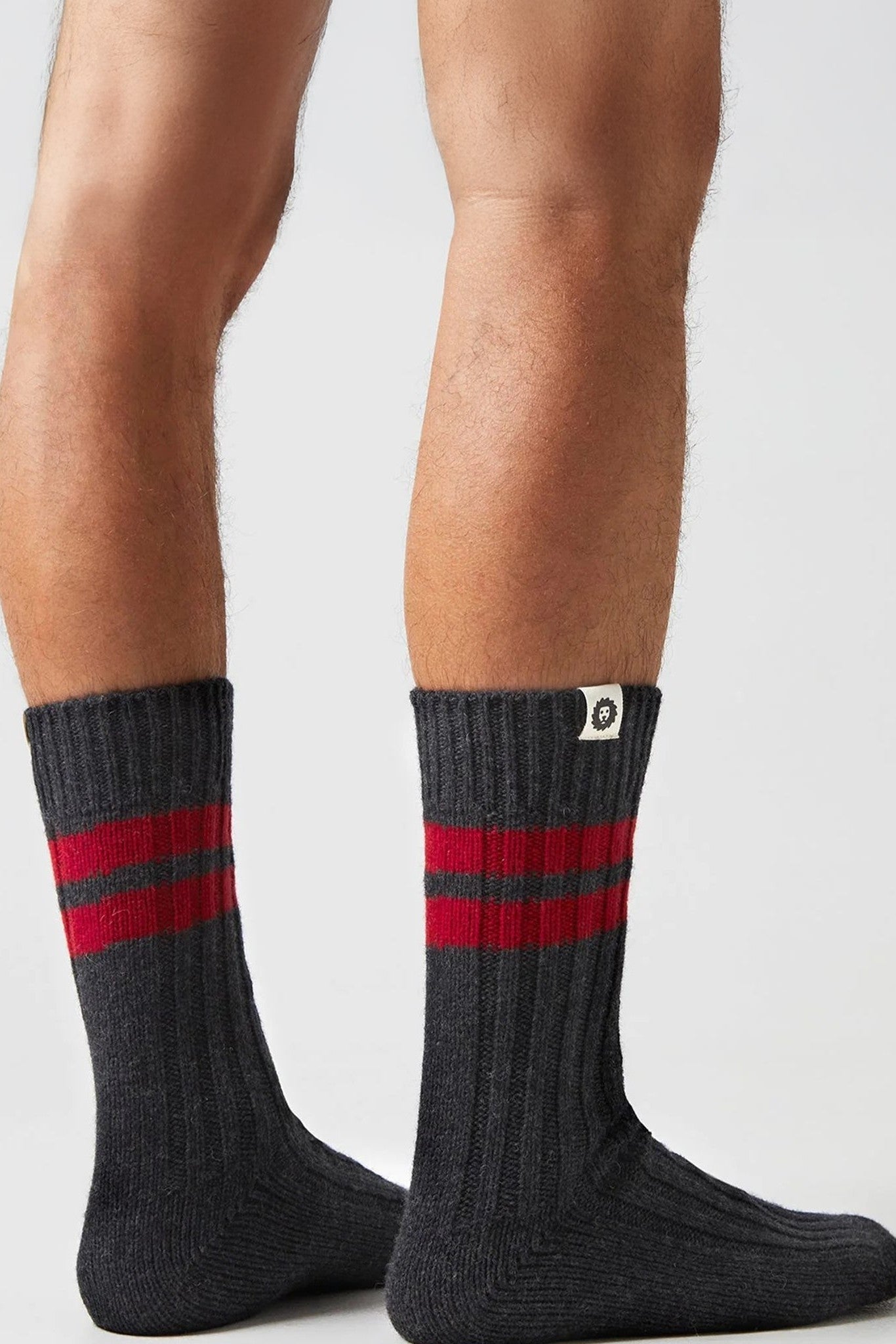 JIMMY LION - Premium Winter Rec - Dark Gray - BACKYARD