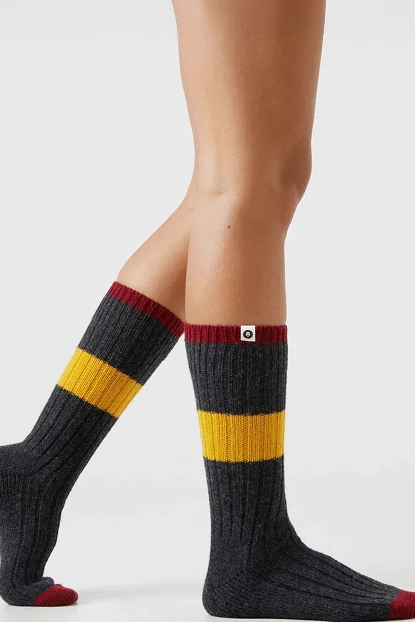 JIMMY LION - Premium Winter Rec - Grey - BACKYARD