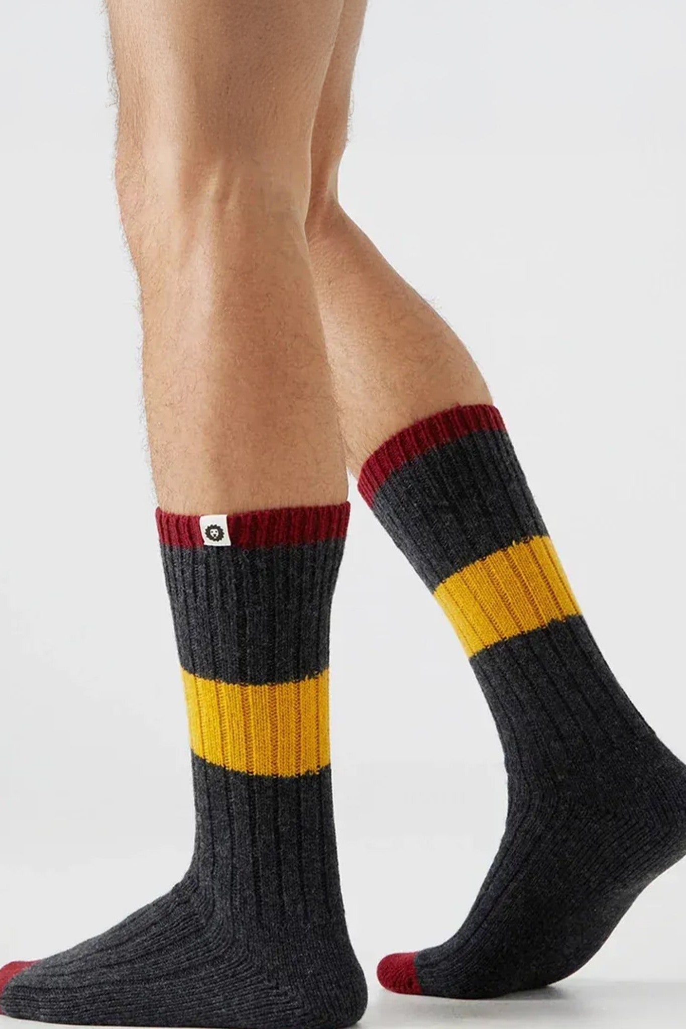 JIMMY LION - Premium Winter Rec - Grey - BACKYARD