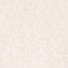 LAKOR - Coffee On the Go T-Shirt - Starwhite - BACKYARD