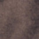 LAKOR - Moss Shirt - Morel - BACKYARD