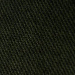 Moss Shirt