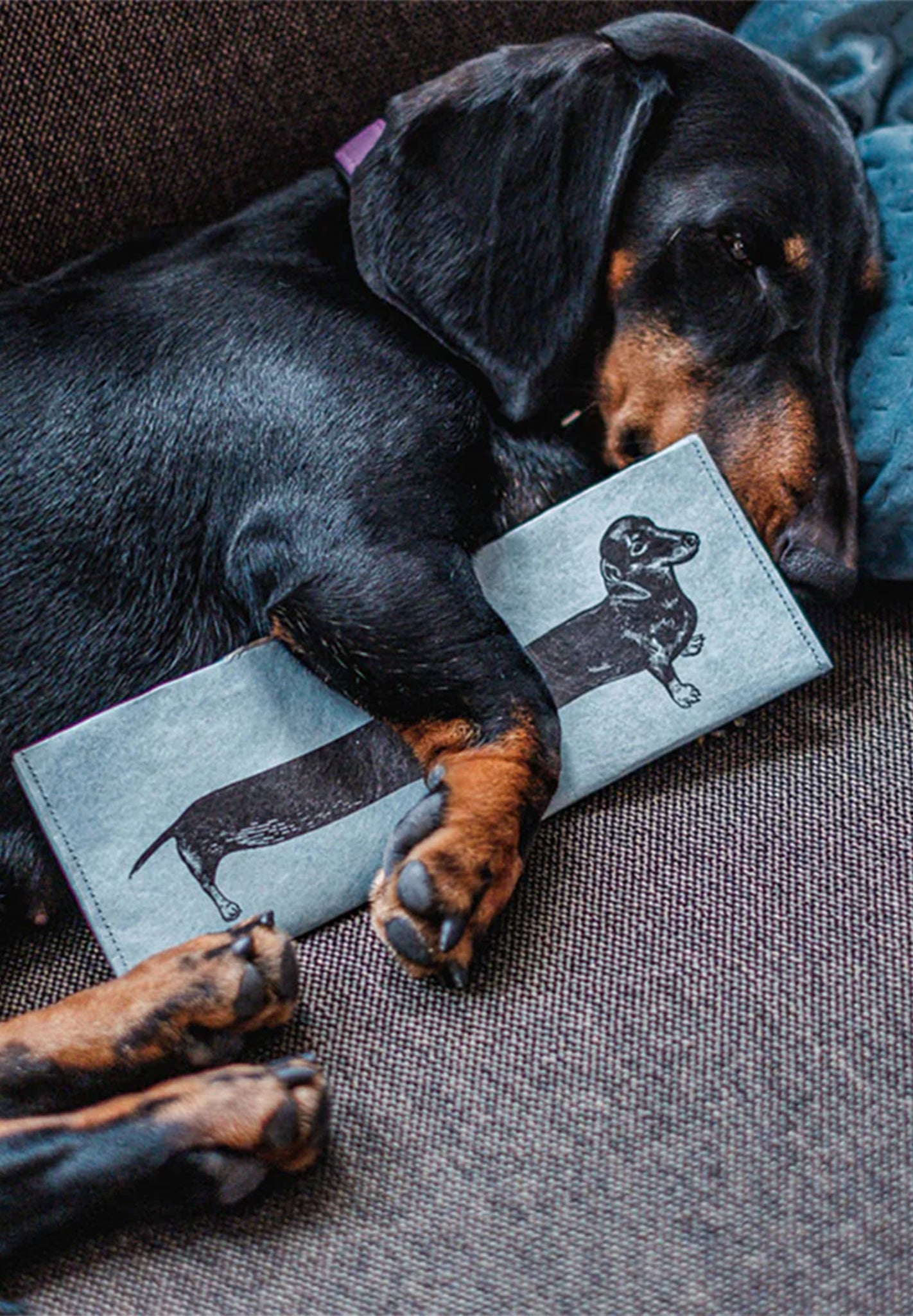 PAPRCUTS - RFID Portemonnaie - Sausage Dog - BACKYARD