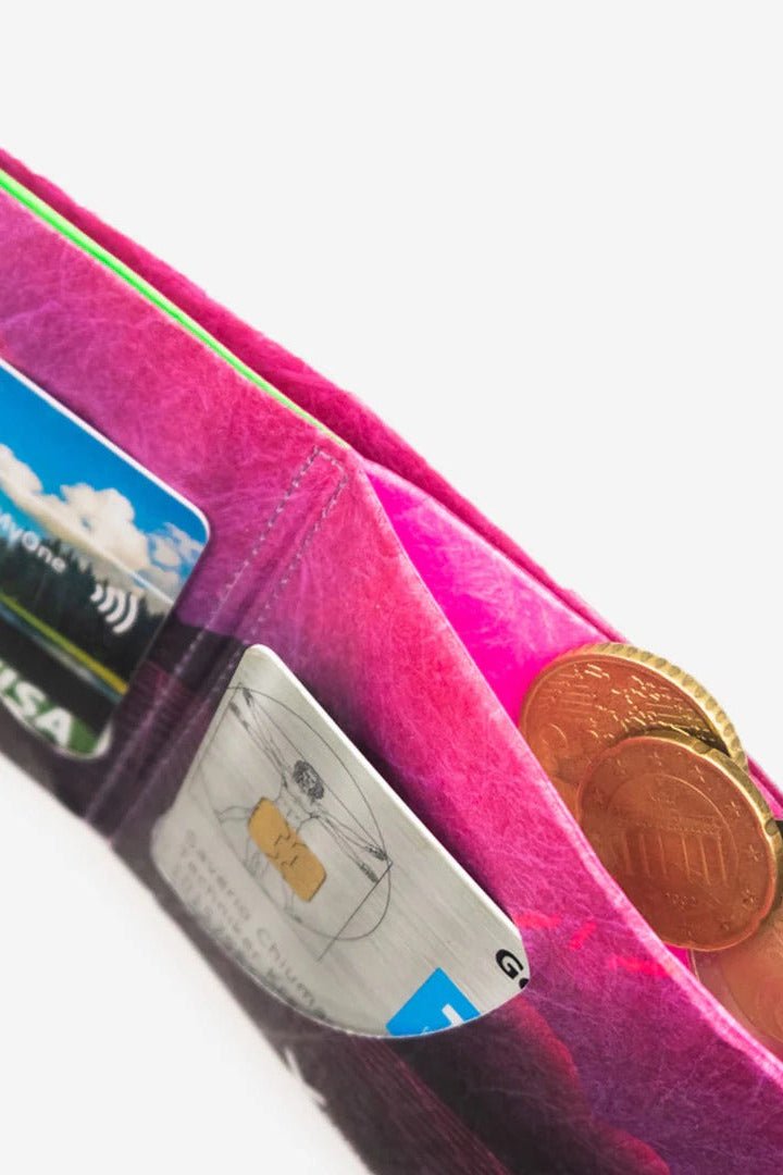 PAPRCUTS - RFID Portemonnaie - Dinos gegen Nazis - BACKYARD