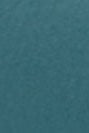 PATAGONIA - Broadcaster Hat - Berm Logo: Wetland Blue - BACKYARD