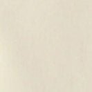 PATAGONIA - Women's Regenerative Organic Certified Cotton Essential Hoody - Wool White - BACKYARD