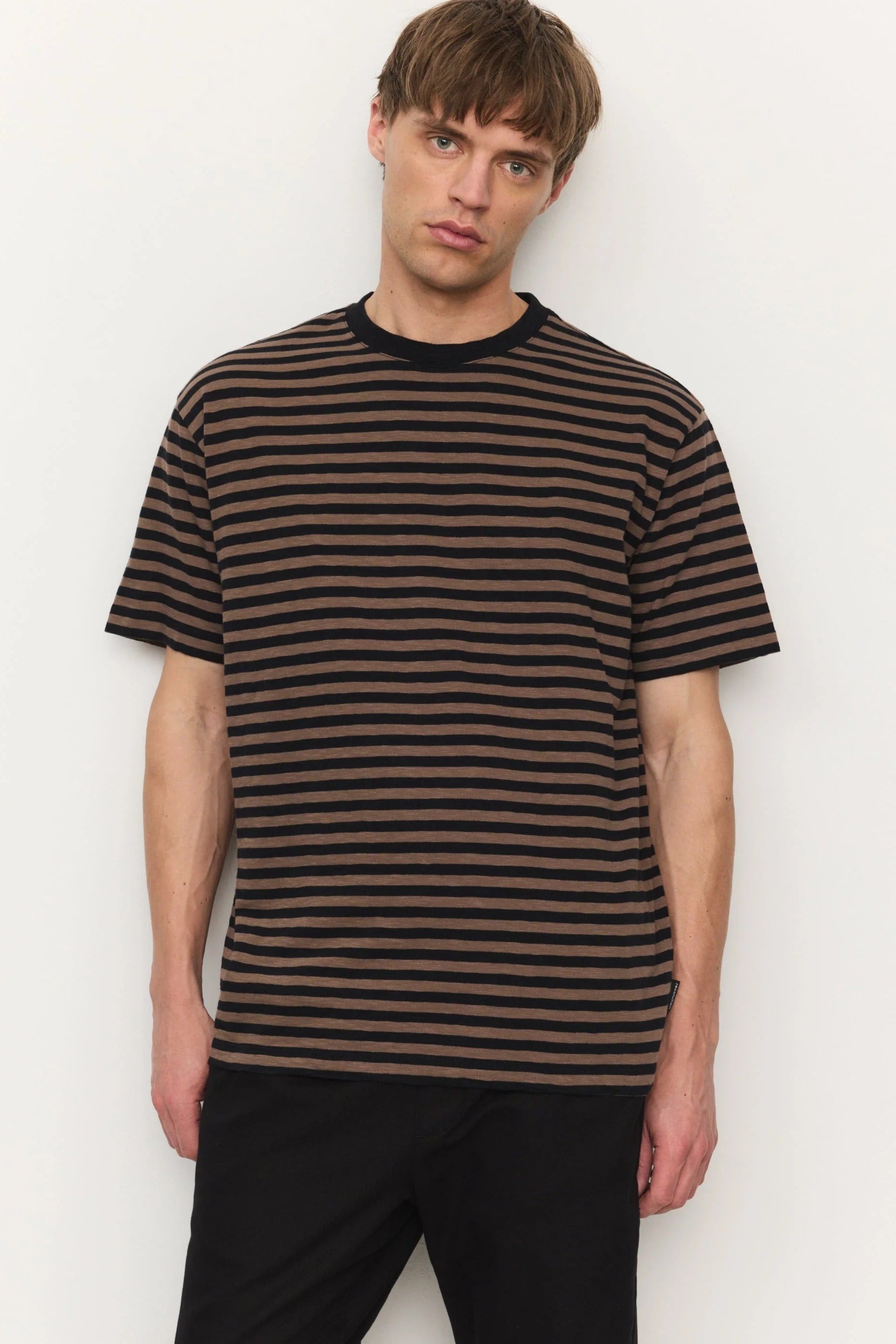 Delonix Stripes