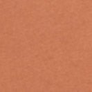 SESSUN - Hoodie - Alezan - BACKYARD