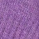 SESSUN - Niels - Viola - BACKYARD