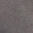 SESSUN - Orlando - Half Moon - BACKYARD