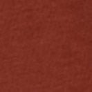 SESSUN - Too Tee - Vienna - BACKYARD