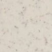 STEAMERY - Lint Brush - Beige - BACKYARD