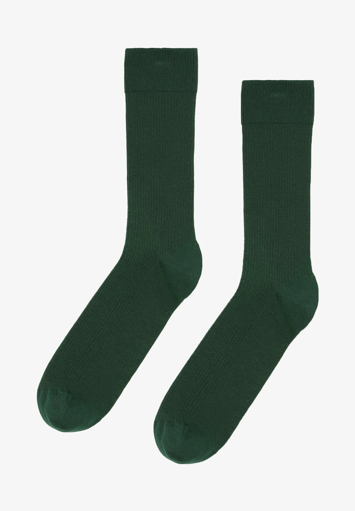 COLORFUL STANDARD - Classic Organic Sock - Emerald Green - BACKYARD