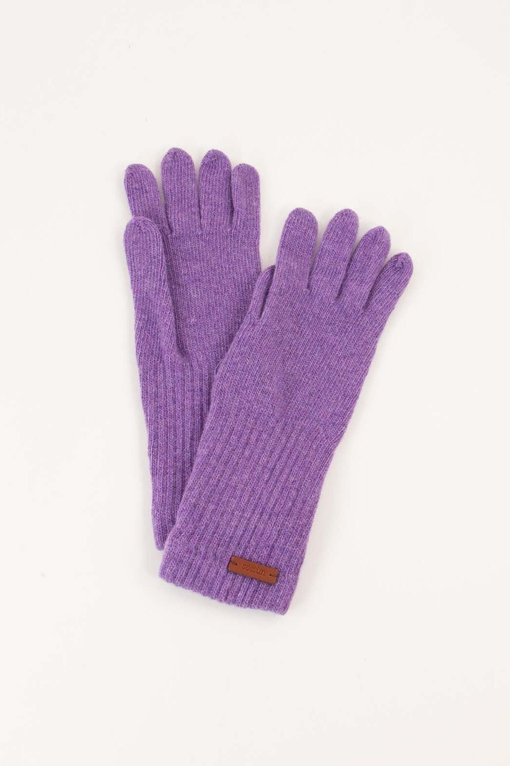 SESSUN - Niels - Viola - BACKYARD