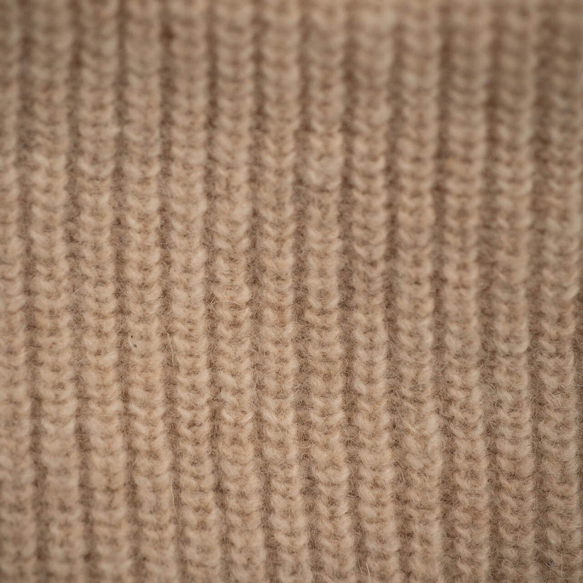 ALTIDUDE-Hermit-Beige-BACKYARD