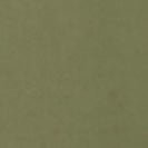 ARMEDANGELS - Aaster - Fatigue Green - BACKYARD