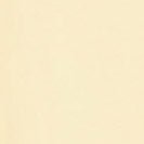 ARMEDANGELS - Idaara - Early Yellow - BACKYARD