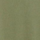 ARMEDANGELS - Jaames - Fatigue Green - BACKYARD