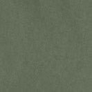 CARHARTT WIP-John Short-Dollar Green-BACKYARD