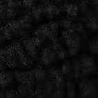 Prentis Beanie