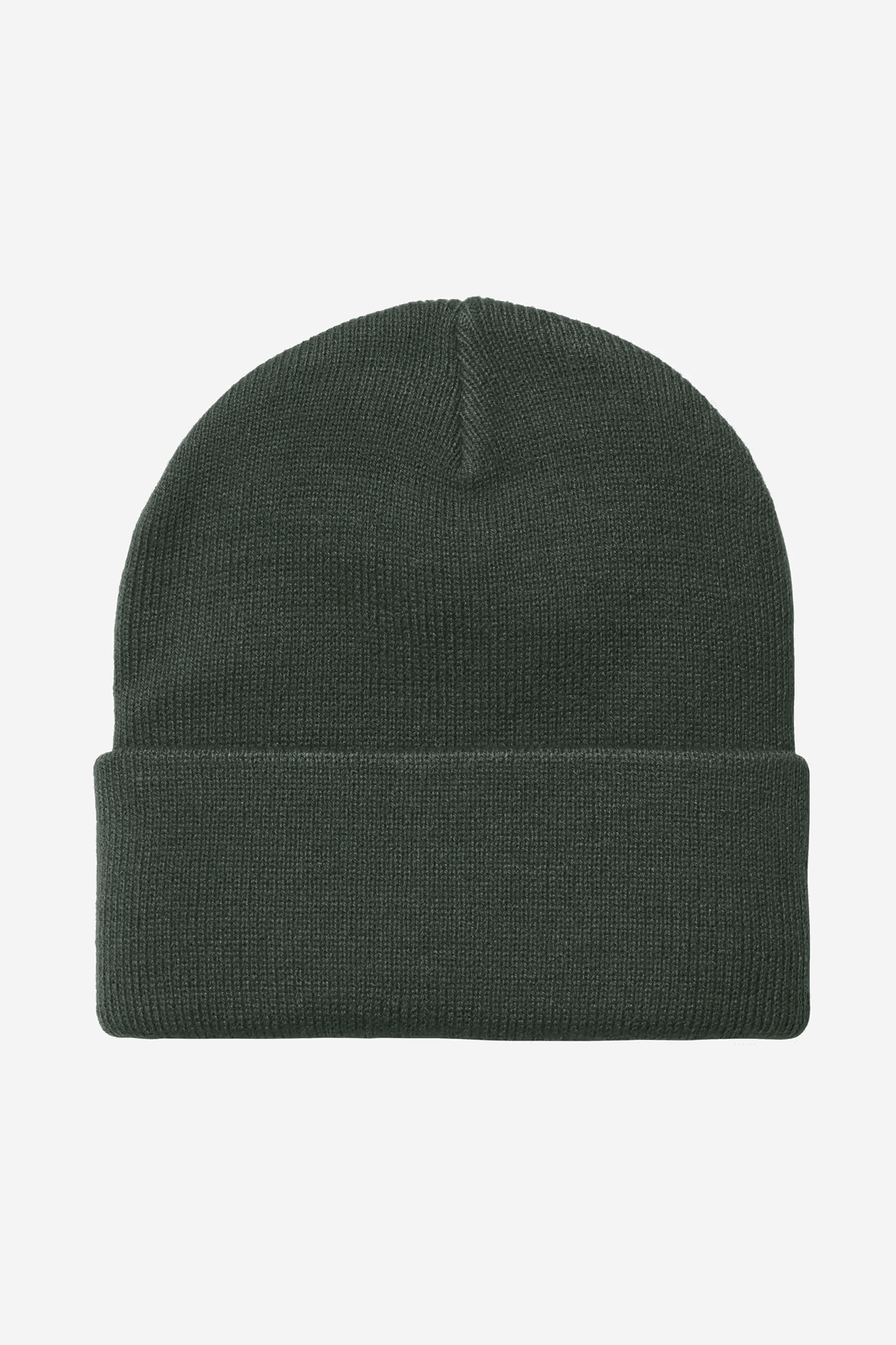 CARHARTT WIP-Short Watch Hat-Dark Scarab-BACKYARD
