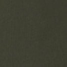 CARHARTT WIP - S/S Chase T-Shirt - Olive Gold - BACKYARD