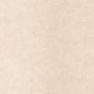 CARHARTT WIP - Women W' Nelson A - Shirt - Fleur De Sel Garment Dyed - BACKYARD